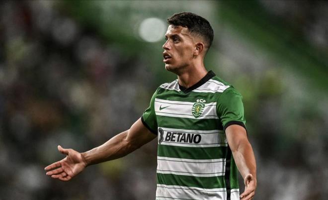 约的决定也 约的决定也